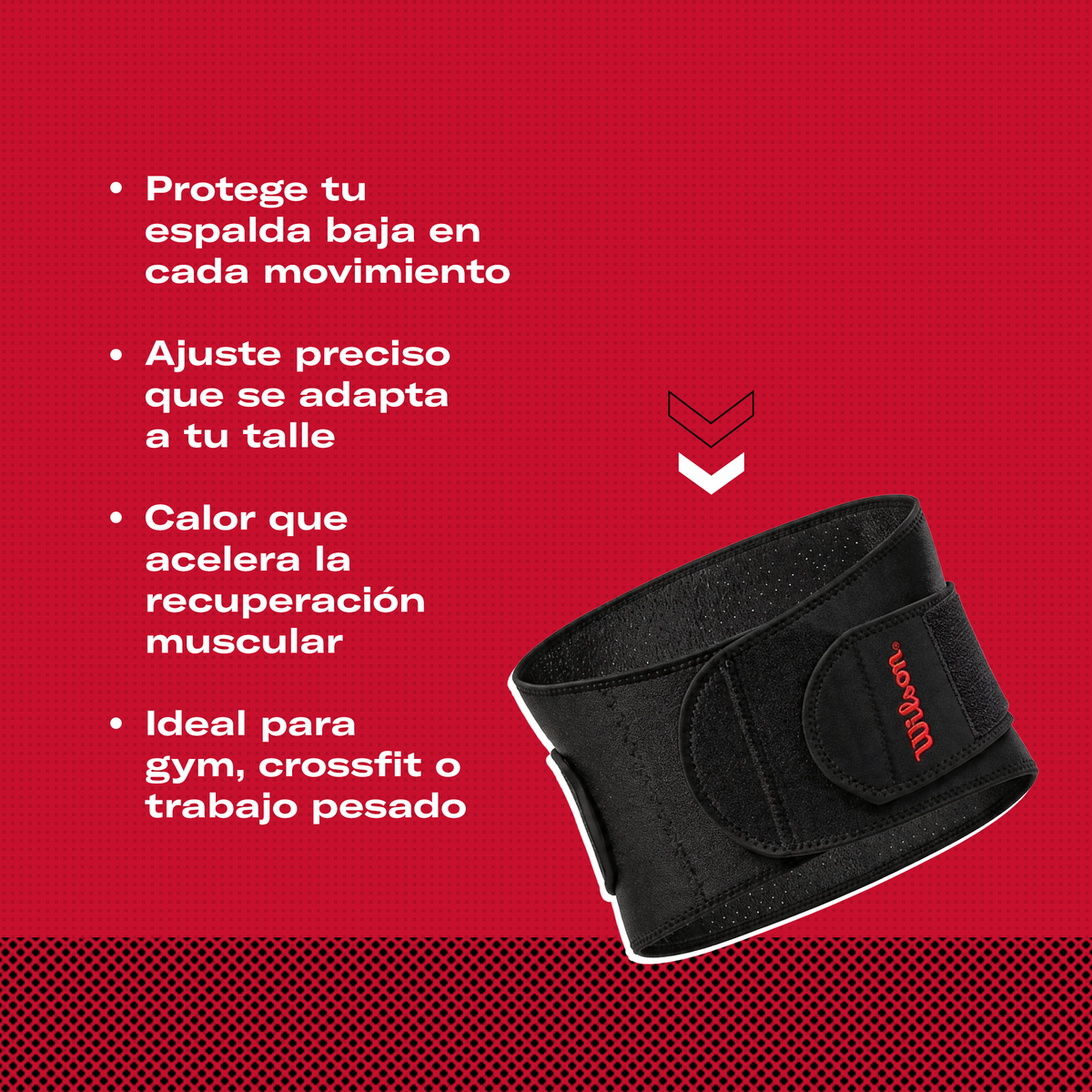 Faja Lumbar Wilson AW108 Neopreno Soporte Espalda Baja Compresión Unitalla Unisex