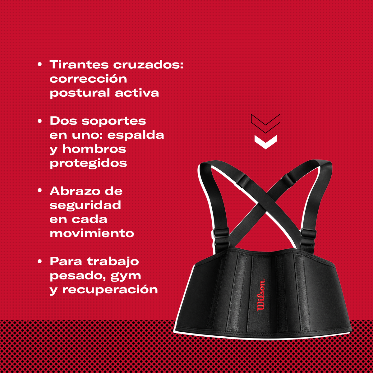 Soporte Lumbar Wilson AW118 con Tirantes Espalda Postura Lumbar Trabajo Carga Unisex