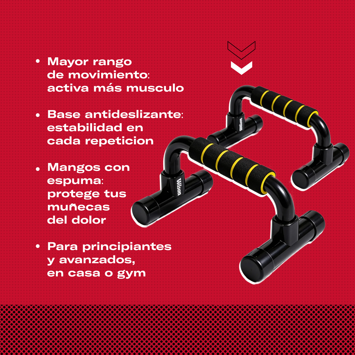 Barras Fijas para Lagartijas