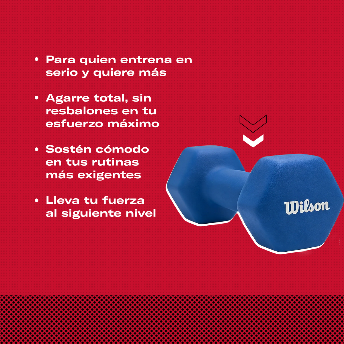 Mancuerna de Neopreno 10 lb
