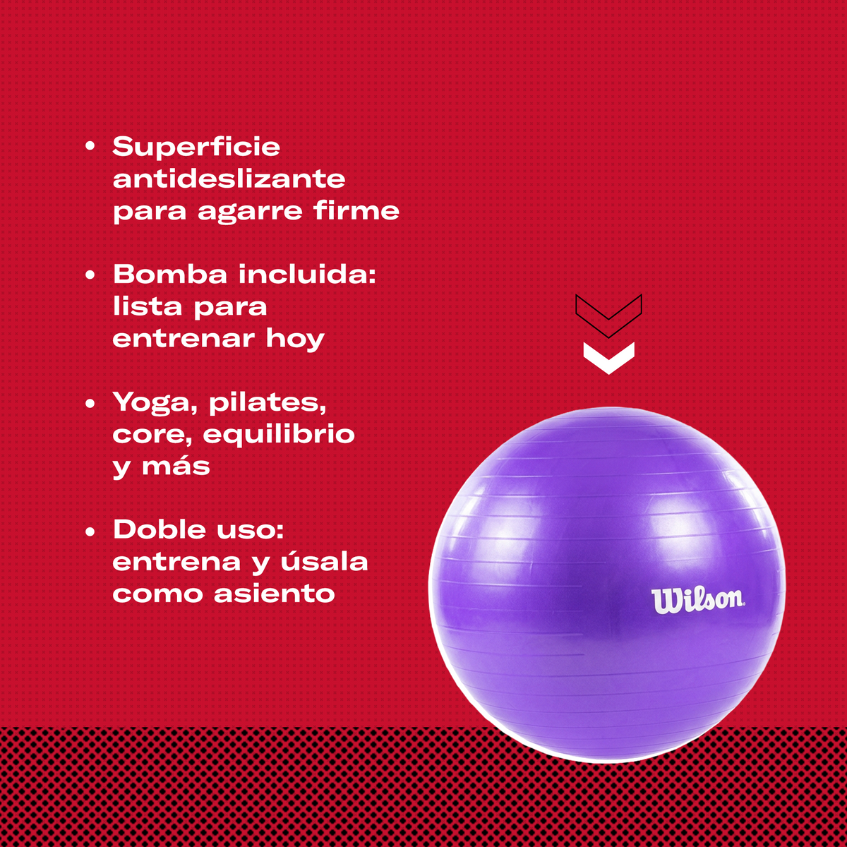Pelota de Pilates 55 cm